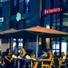 MCN_2496