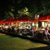 foto-terras-toeter