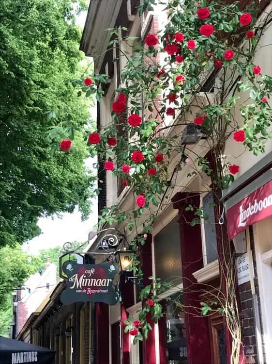 Café de Minnaar Foto 9 Horecagroningen.nl