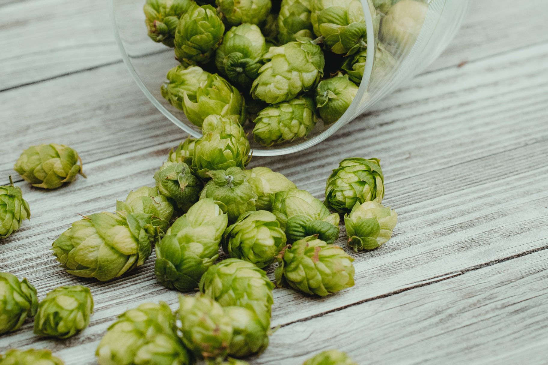 hop pexels-burak-the-weekender-45072